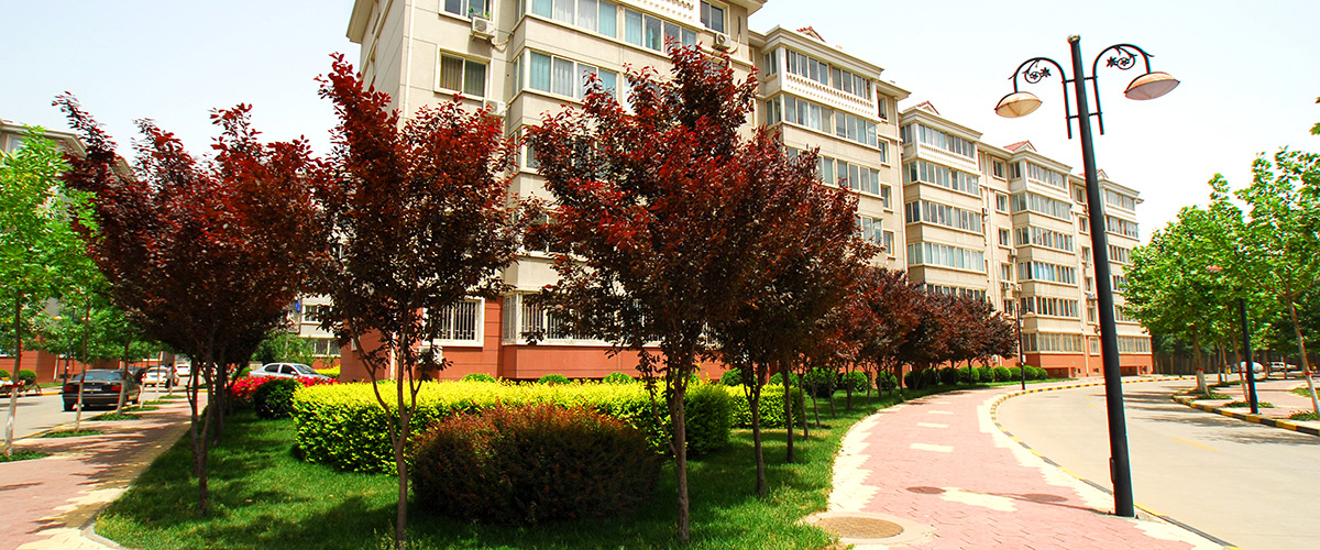 河北安居房地產(chǎn)開(kāi)發(fā)集團(tuán)有限公司